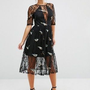 ASOS Petite Lace Midi Dress with Bird Embroidery